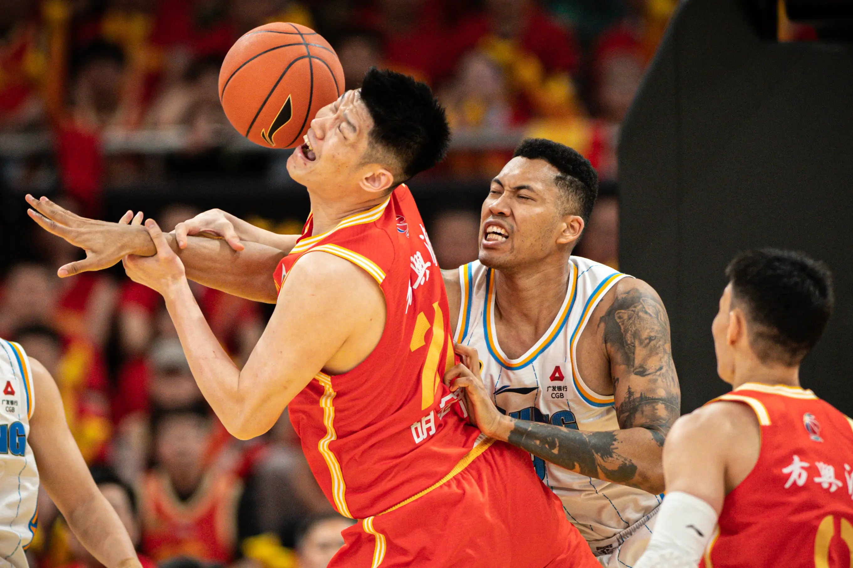 今晚上辽宁cBA直播绿茵直播_(今晚辽篮cba直播现场在线观看)