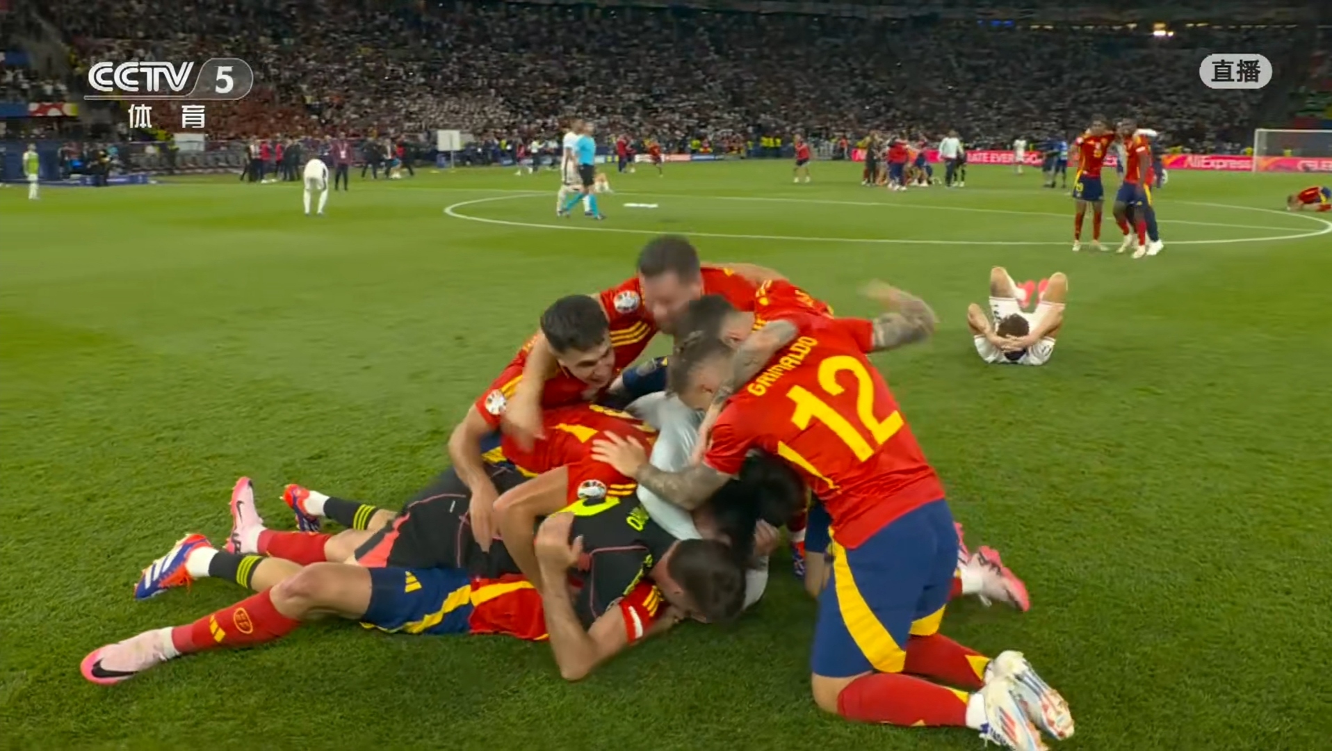 欧洲杯回放免费观看西班牙德国_(欧洲杯回放视频全场)  第1张