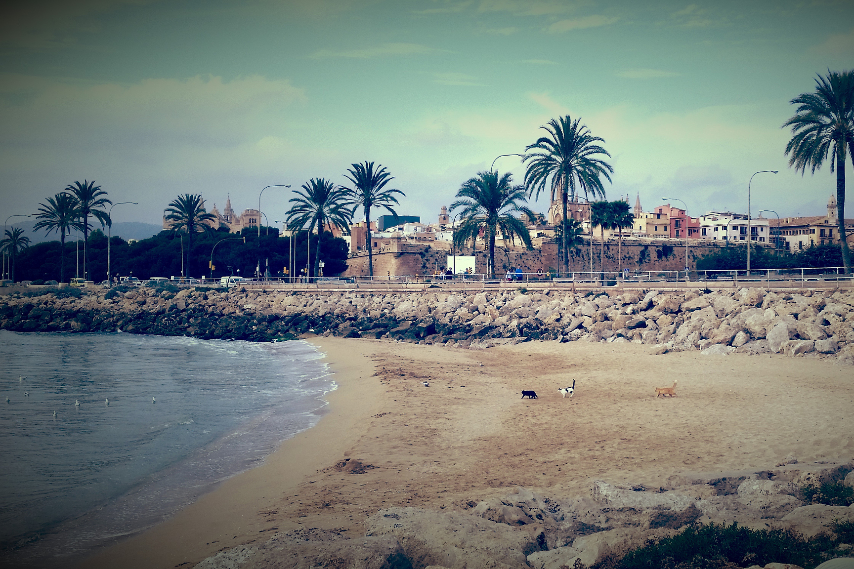 关于尼日联：第一银行VS拉各斯竞技的信息  第1张