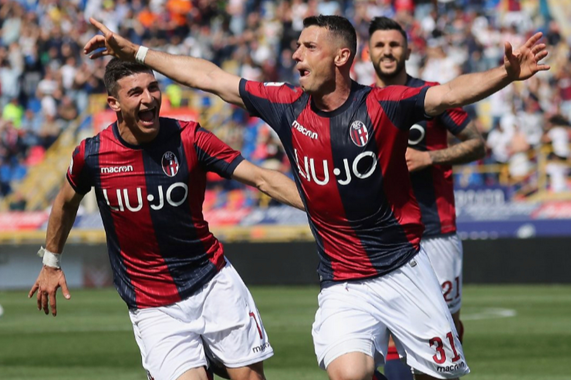 包含意丁G组:拿特多尔切VS诺切里纳的词条 第1张 包含意丁G组:拿特多尔切VS诺切里纳的词条 第1张