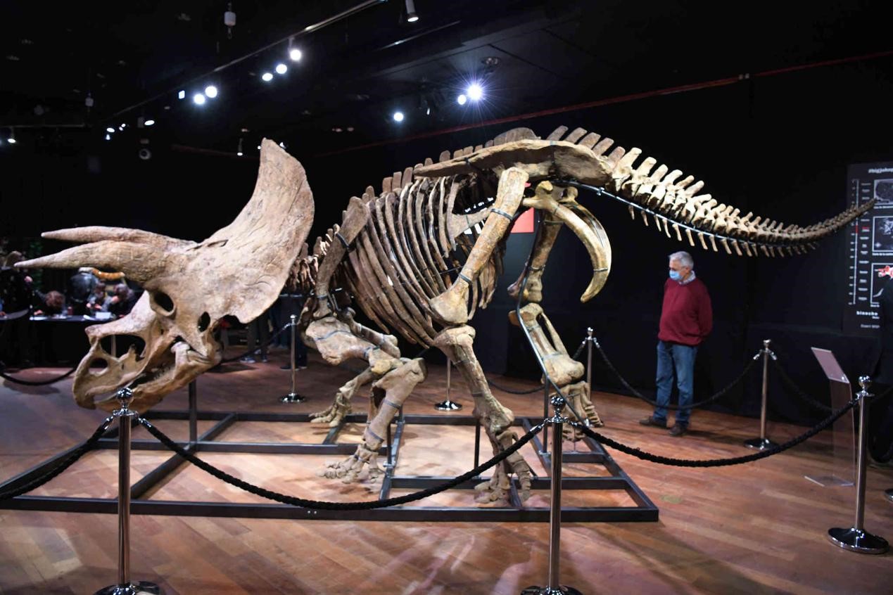 NCAA:洛约拉马利蒙特大学VS佛罗里达大西洋大学的简单介绍