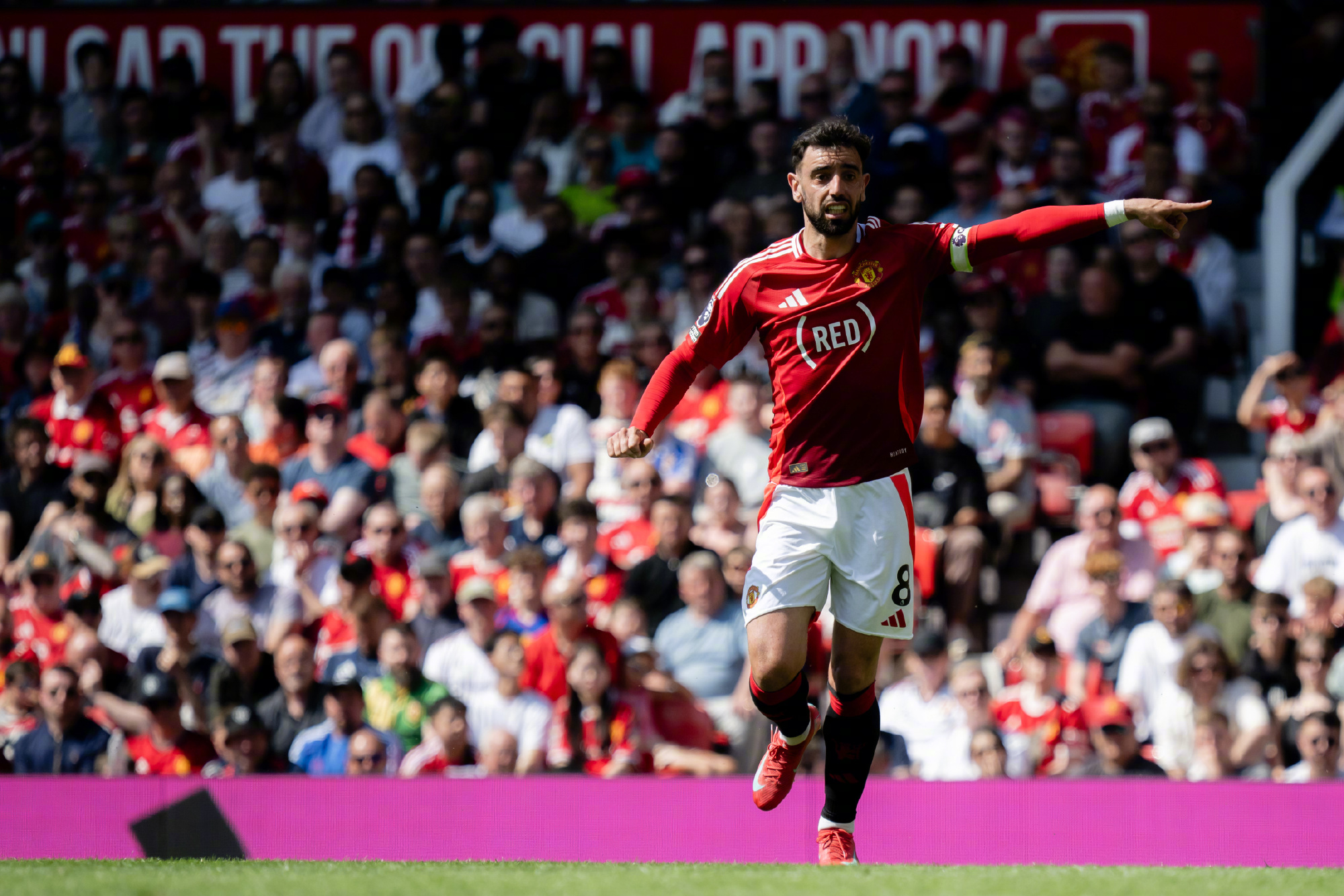 包含阿莫林：我不想没夺冠就离开曼联上任将近一年的词条  第1张