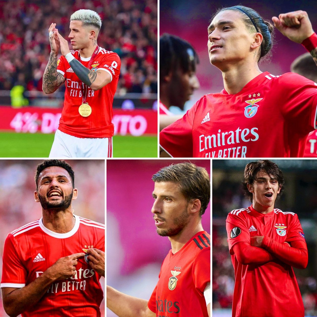 包含菲利克斯希望在夏窗回归本菲卡但多个因素制约交易的词条  第2张