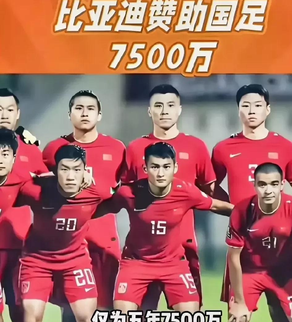 包含比亚迪成国足赞助商与足协达成协议的词条  第1张