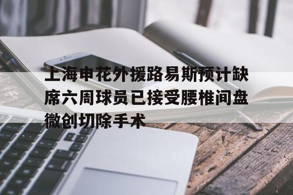 包含上海申花外援路易斯预计缺席六周球员已接受腰椎间盘微创切除手术的词条  第1张