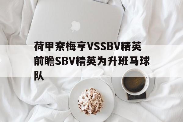 荷甲奈梅亨VSSBV精英前瞻SBV精英为升班马球队的简单介绍  第1张