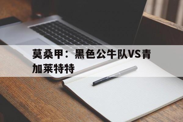 关于莫桑甲：黑色公牛队VS青加莱特特的信息  第1张