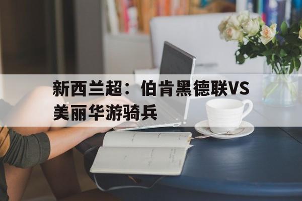 新西兰超：伯肯黑德联VS美丽华游骑兵的简单介绍