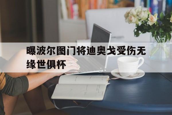 曝波尔图门将迪奥戈受伤无缘世俱杯的简单介绍 第1张 曝波尔图门将迪奥戈受伤无缘世俱杯的简单介绍 第1张